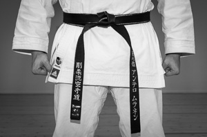Bermad audit type Mitä on karate? Karatesta lyhyesti | Seigokan.net