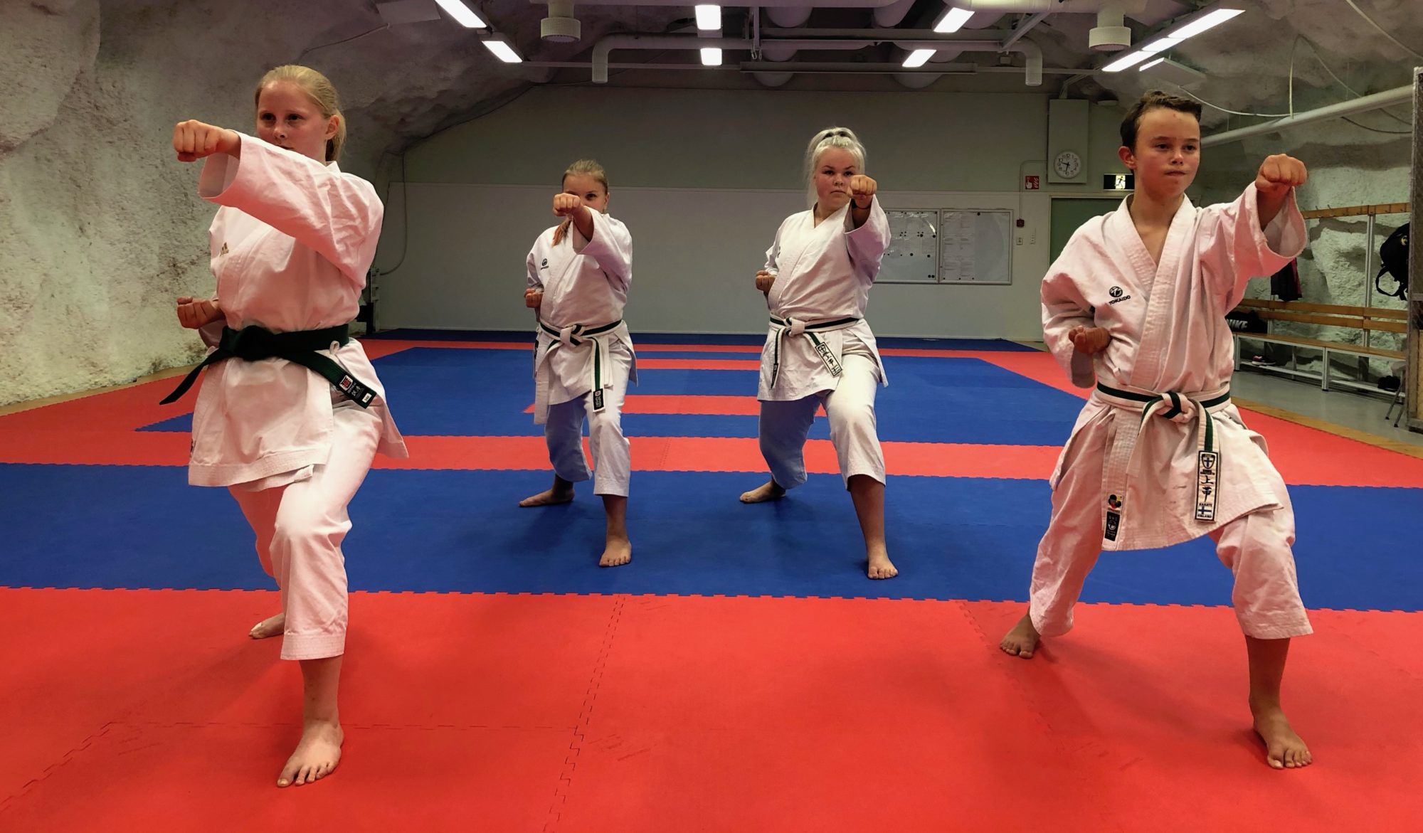 lasten-ja-nuorten-peruskurssi-karate-seigokan